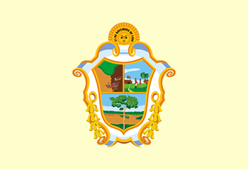 Aikido em Manaus (AM)