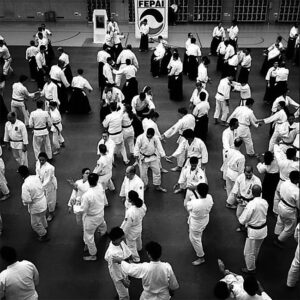 Eventos Aikido